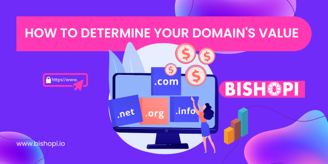 2.99 Domain How to Determine Your Domain's Value