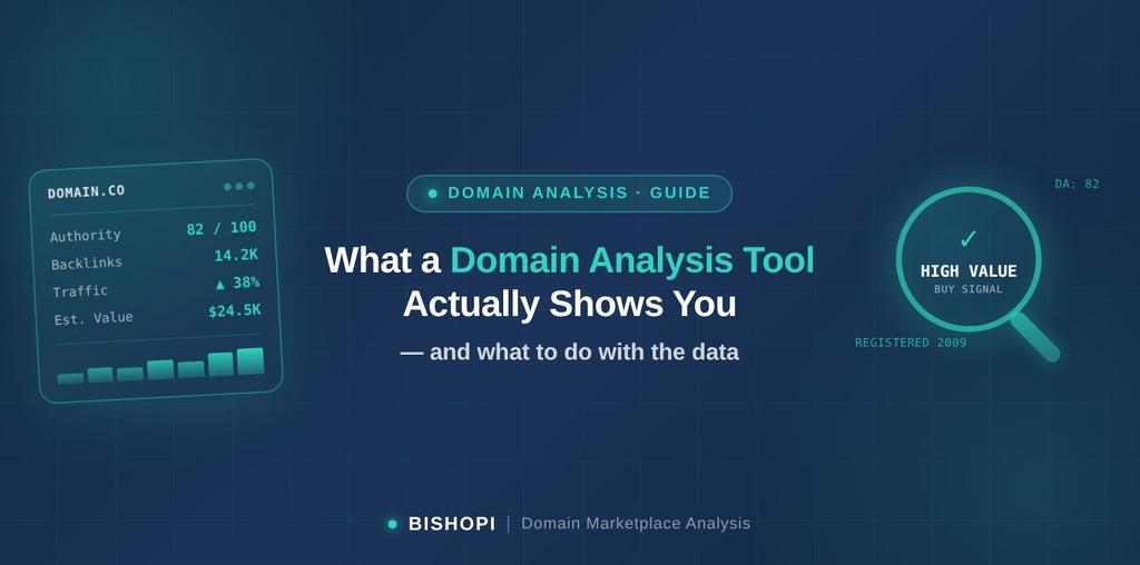 What a Domain Analysis Tool Actually Shows You (And What to Do With the ...