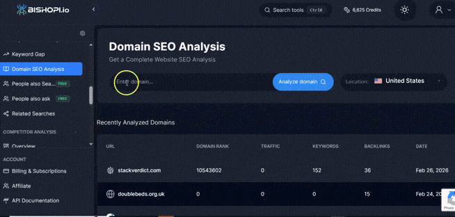 Domain SEO analysis
