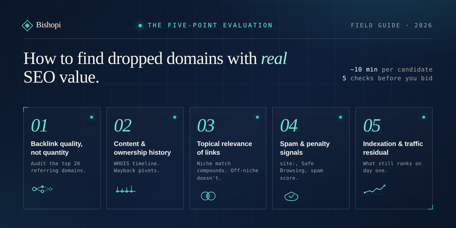 Expired domain SEO check