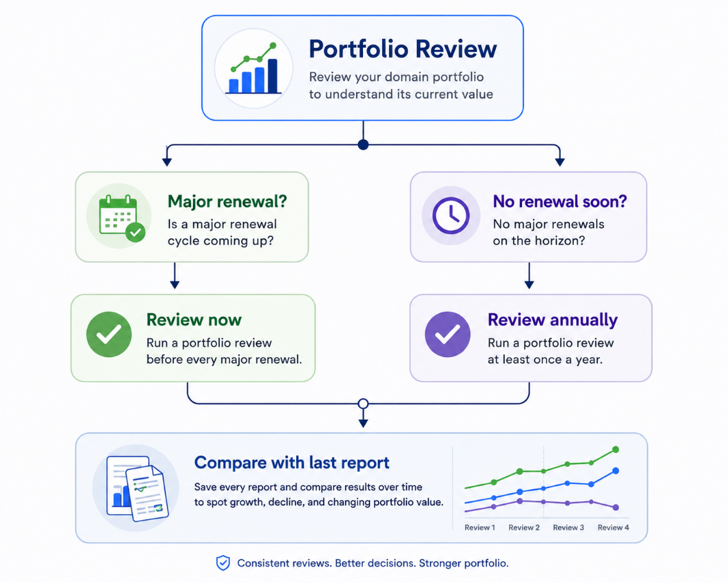 Domain portfolio review
