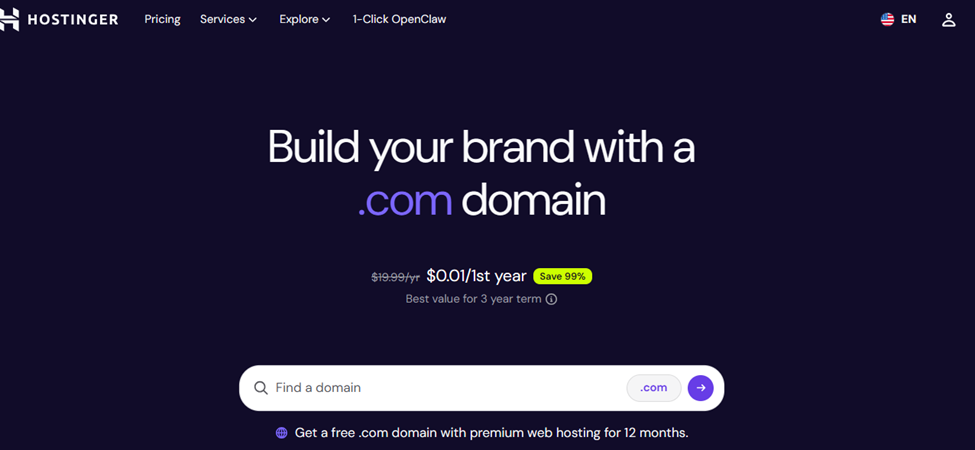 Hostinger domain register